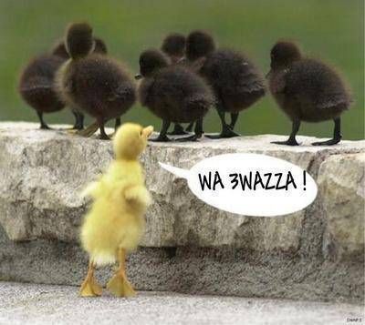 .....................................