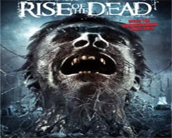 ...........................