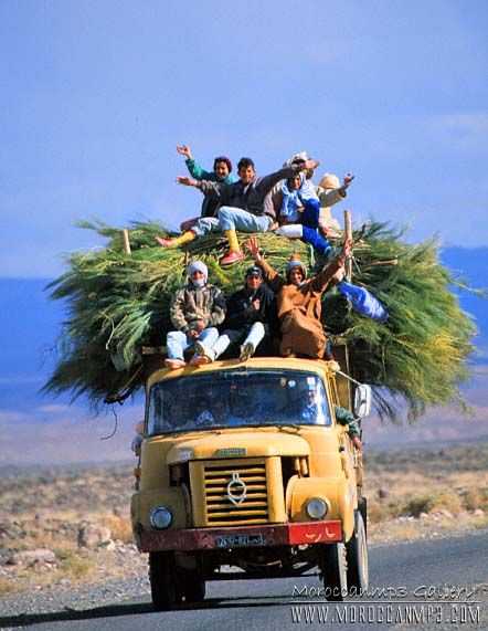 .......................................................