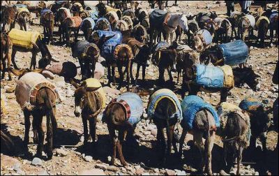 AHAHAHAHAHAHAHAHA.....