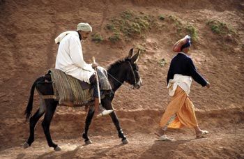 ..............................